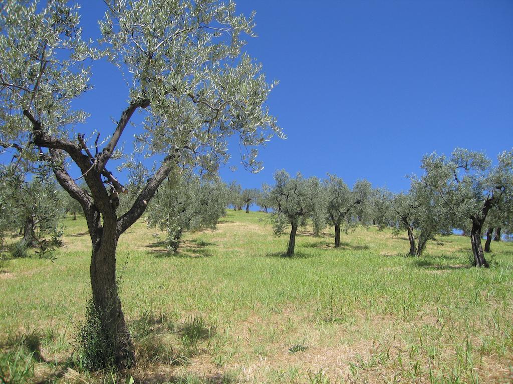 Il Sorriso Dei Monti Bed and Breakfast Orvinio Εξωτερικό φωτογραφία